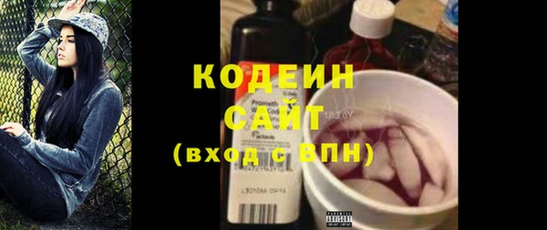 молекула духа Богородицк