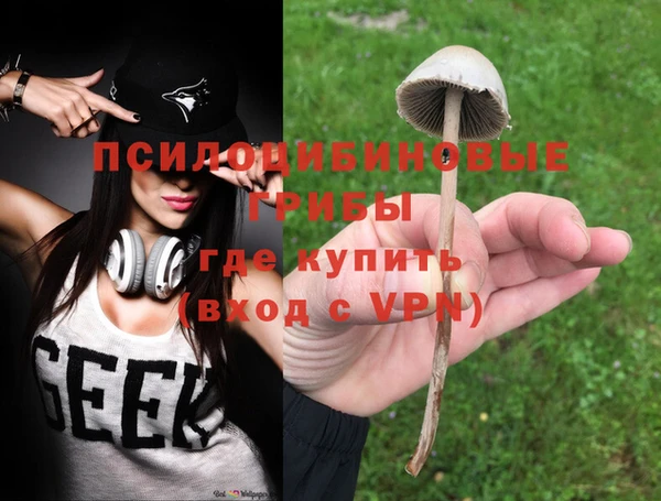 ALPHA PVP Верея