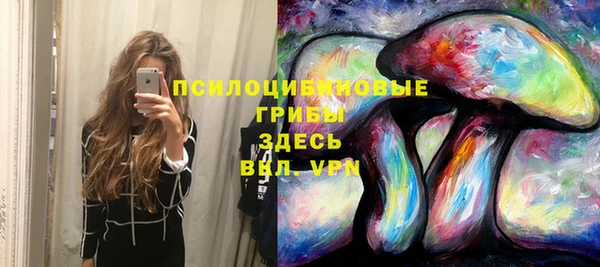 MDMA Верхний Тагил