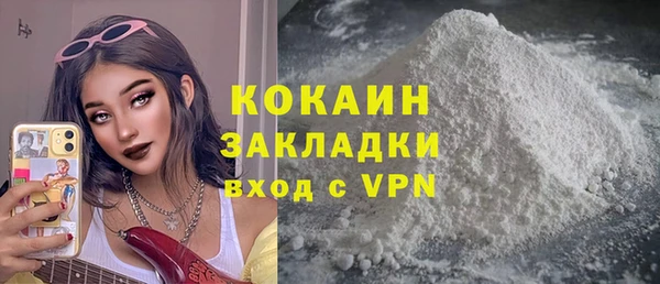 молекула духа Богородицк