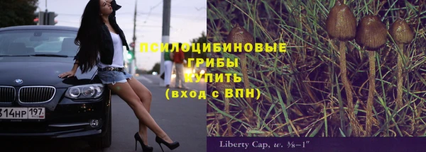 не бодяженный Белокуриха