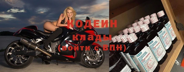 молекула духа Богородицк