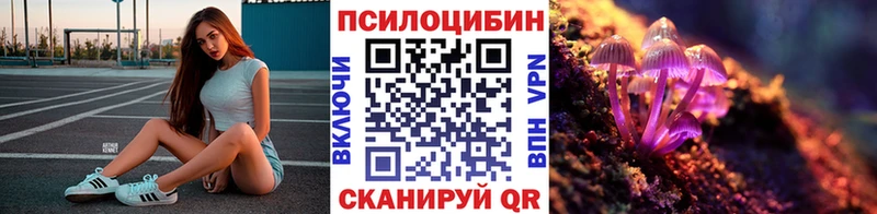 где продают наркотики  Ворсма  Галлюциногенные грибы Cubensis 